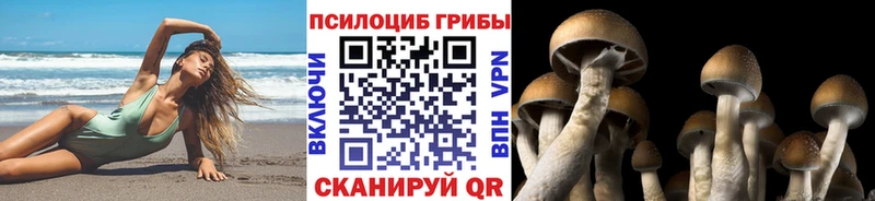 Псилоцибиновые грибы GOLDEN TEACHER  Заволжье 
