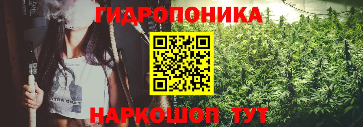 Каннабис тримм  Бошки Шишки OG Kush  МАРИХУАНА THC 21%  Заволжье  Бошки марихуана тримм  Вход с VPN 